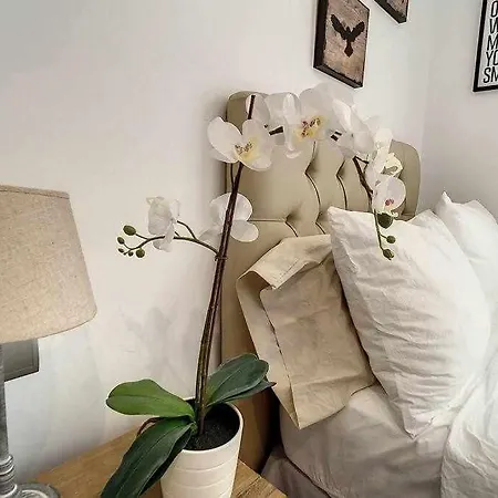 아파트 Penthouse Walking Distance Beach San Pedro Alcantara *